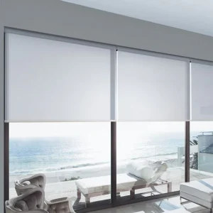 Cortinas Roller Sunscreen